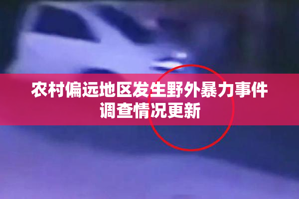 农村偏远地区发生野外暴力事件调查情况更新