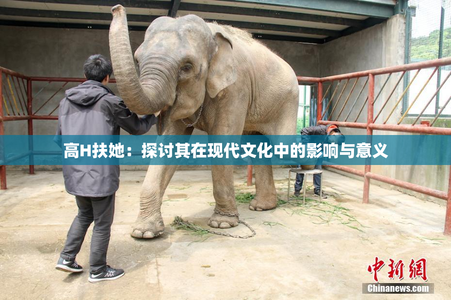 高H扶她：探讨其在现代文化中的影响与意义