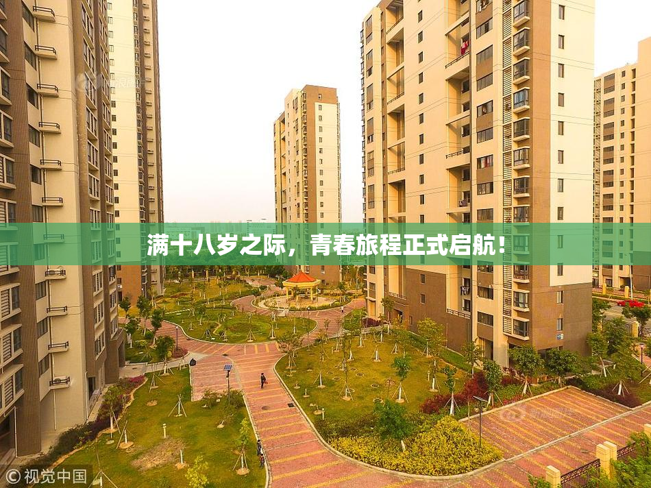 满十八岁之际，青春旅程正式启航！