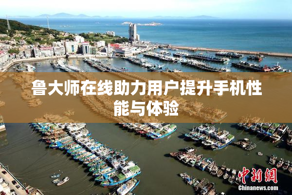 鲁大师在线助力用户提升手机性能与体验