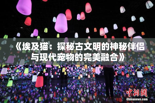 《埃及猫：探秘古文明的神秘伴侣与现代宠物的完美融合》