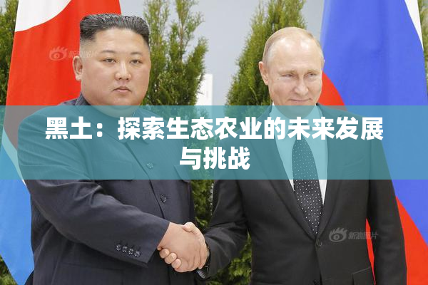 黑土：探索生态农业的未来发展与挑战