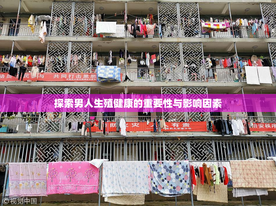 探索男人生殖健康的重要性与影响因素