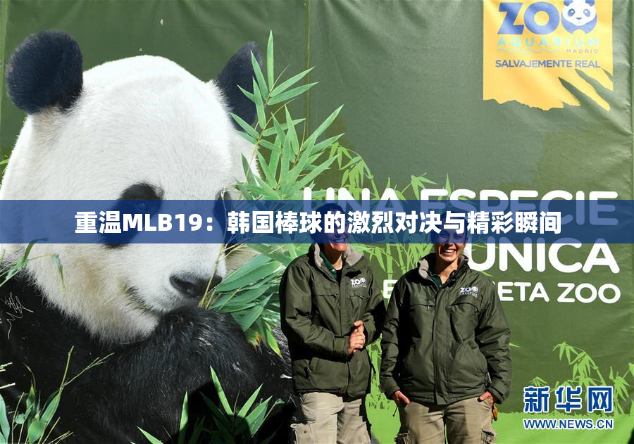 重温MLB19：韩国棒球的激烈对决与精彩瞬间
