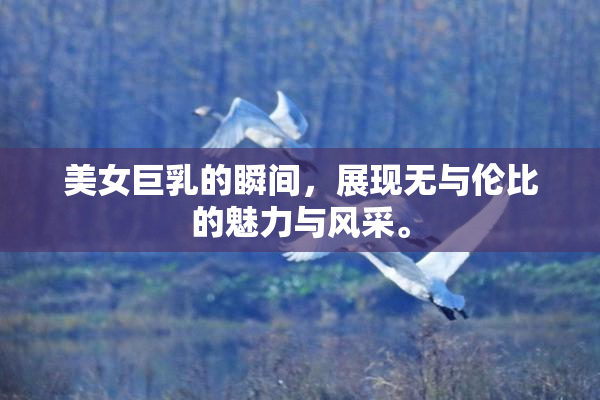 美女巨乳的瞬间，展现无与伦比的魅力与风采。