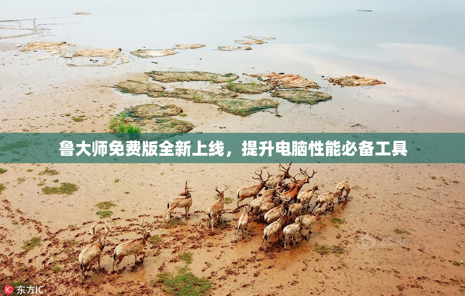 鲁大师免费版全新上线，提升电脑性能必备工具