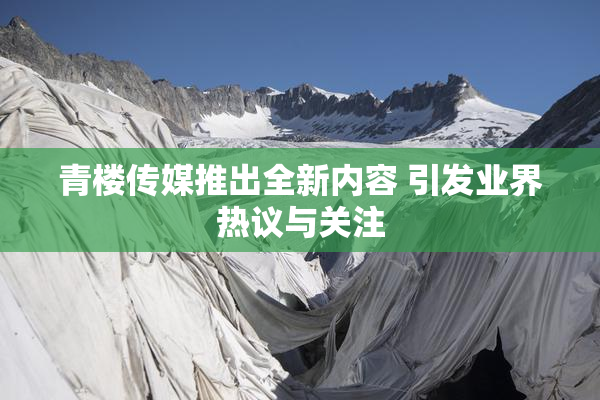青楼传媒推出全新内容 引发业界热议与关注