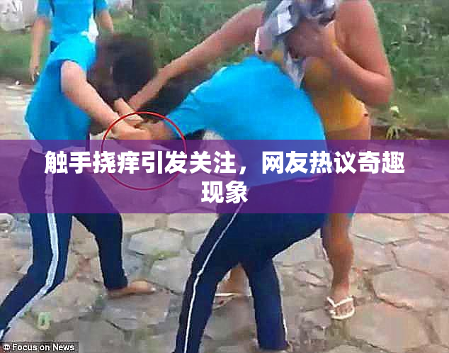 触手挠痒引发关注，网友热议奇趣现象