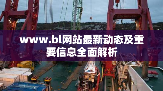 www.bl网站最新动态及重要信息全面解析