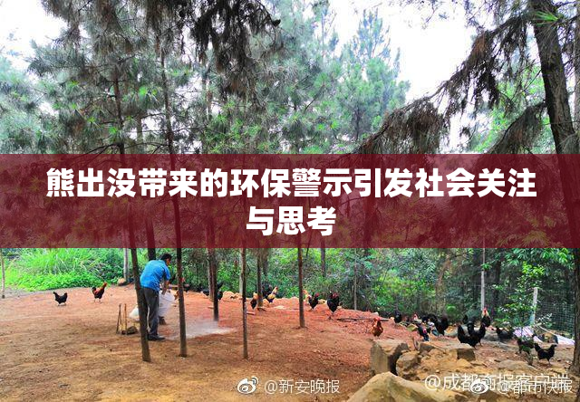 熊出没带来的环保警示引发社会关注与思考