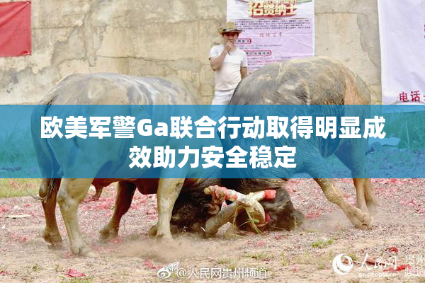 欧美军警Ga联合行动取得明显成效助力安全稳定