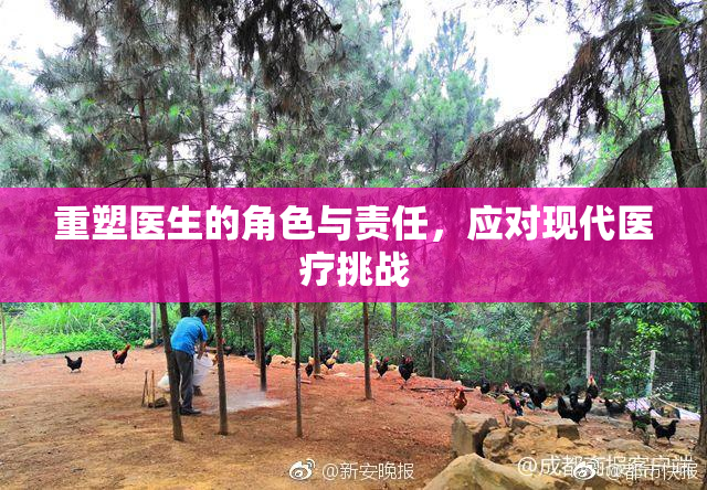 重塑医生的角色与责任，应对现代医疗挑战