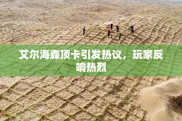 艾尔海森顶卡引发热议，玩家反响热烈