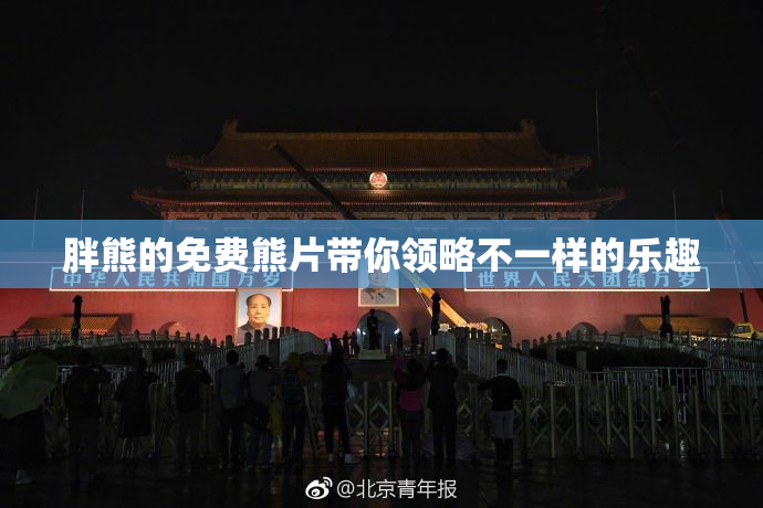 胖熊的免费熊片带你领略不一样的乐趣