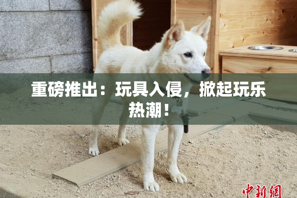 重磅推出：玩具入侵，掀起玩乐热潮！