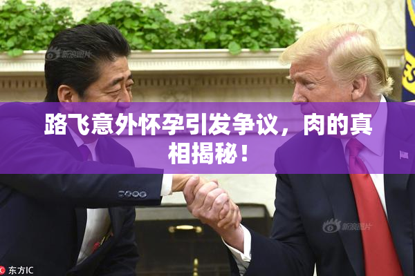 路飞意外怀孕引发争议，肉的真相揭秘！