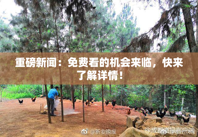 重磅新闻：免费看的机会来临，快来了解详情！