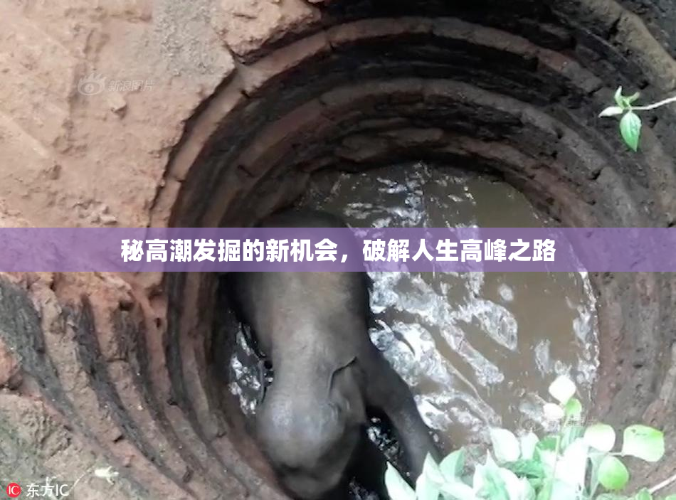 秘高潮发掘的新机会，破解人生高峰之路
