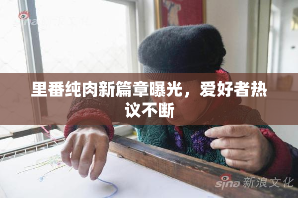 里番纯肉新篇章曝光，爱好者热议不断