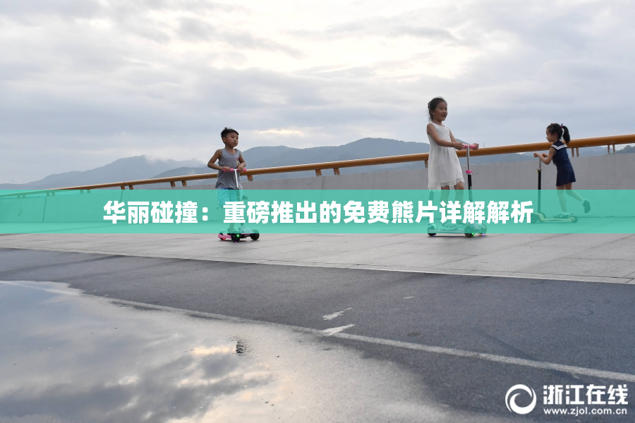 华丽碰撞：重磅推出的免费熊片详解解析