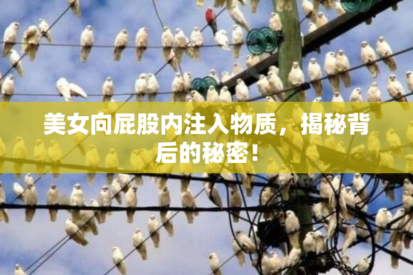美女向屁股内注入物质，揭秘背后的秘密！