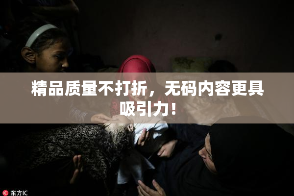 精品质量不打折，无码内容更具吸引力！