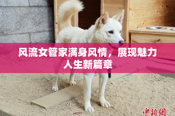 风流女管家满身风情，展现魅力人生新篇章