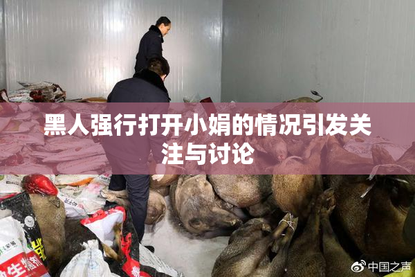 黑人强行打开小娟的情况引发关注与讨论