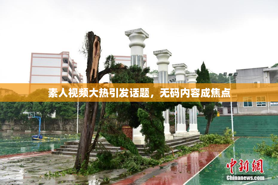 素人视频大热引发话题，无码内容成焦点