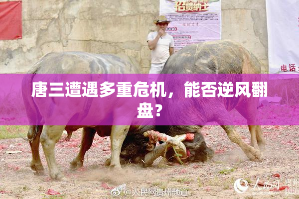 唐三遭遇多重危机，能否逆风翻盘？