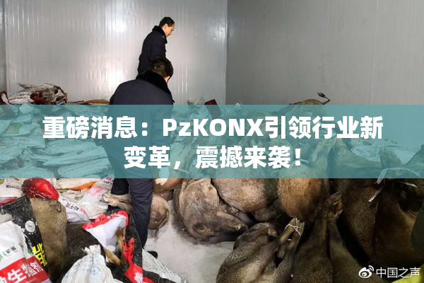 重磅消息：PzKONX引领行业新变革，震撼来袭！