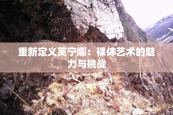 重新定义芙宁娜：裸体艺术的魅力与挑战