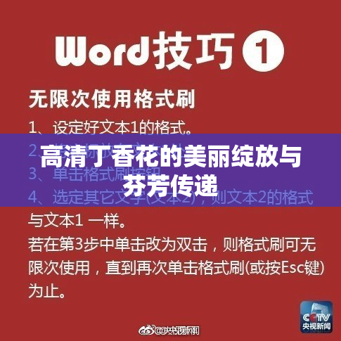 高清丁香花的美丽绽放与芬芳传递