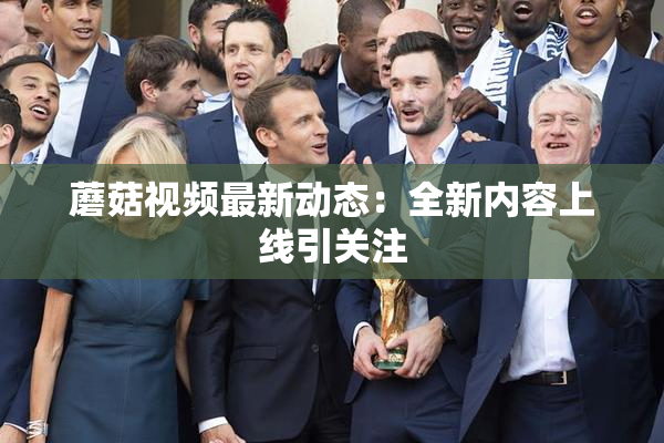 蘑菇视频最新动态：全新内容上线引关注