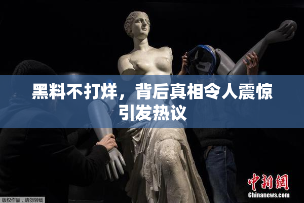 黑料不打烊，背后真相令人震惊引发热议