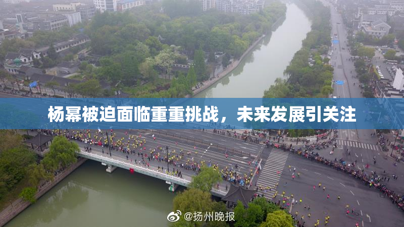 杨幂被迫面临重重挑战，未来发展引关注
