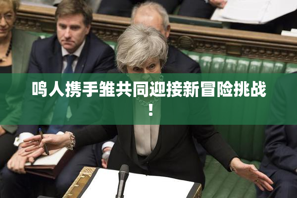鸣人携手雏共同迎接新冒险挑战！