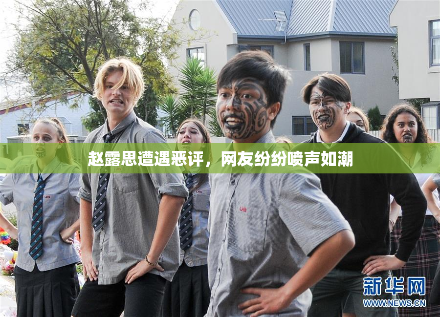 赵露思遭遇恶评，网友纷纷喷声如潮