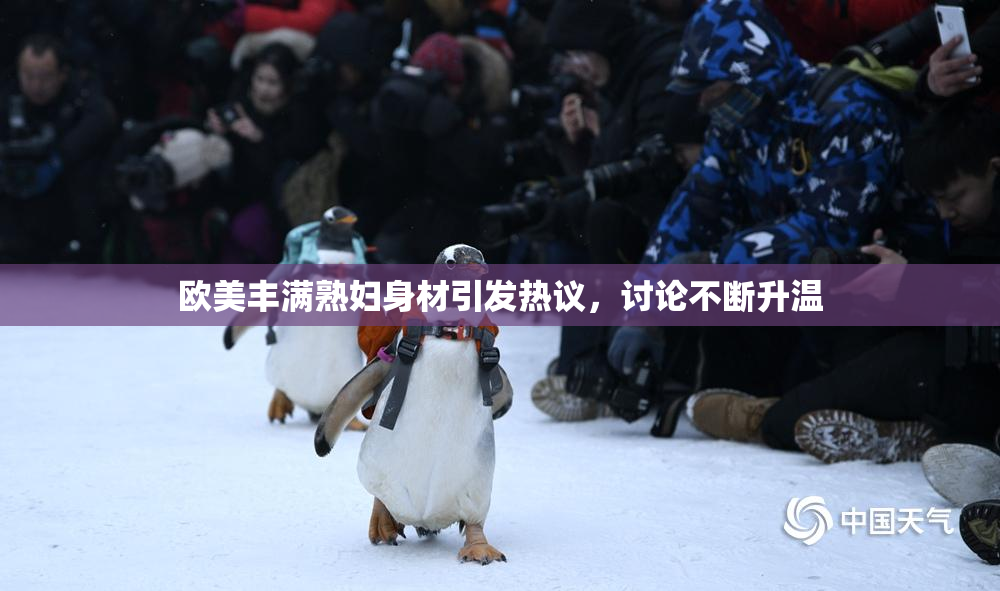 欧美丰满熟妇身材引发热议，讨论不断升温