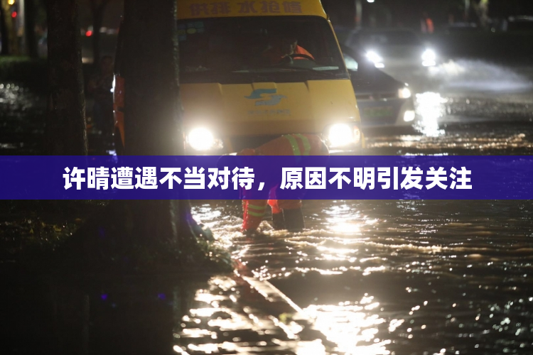 许晴遭遇不当对待，原因不明引发关注