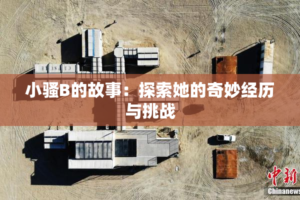 小骚B的故事：探索她的奇妙经历与挑战