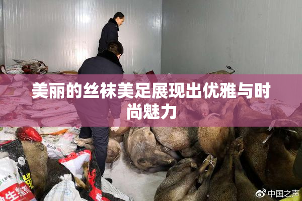 美丽的丝袜美足展现出优雅与时尚魅力