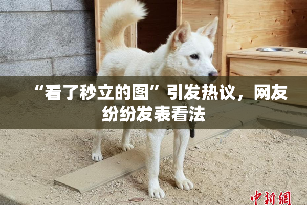 “看了秒立的图”引发热议，网友纷纷发表看法