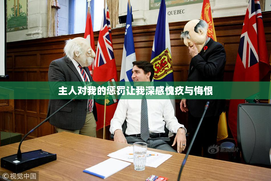 主人对我的惩罚让我深感愧疚与悔恨