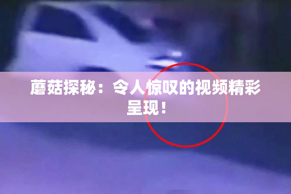 蘑菇探秘：令人惊叹的视频精彩呈现！