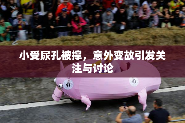 小受尿孔被撑，意外变故引发关注与讨论