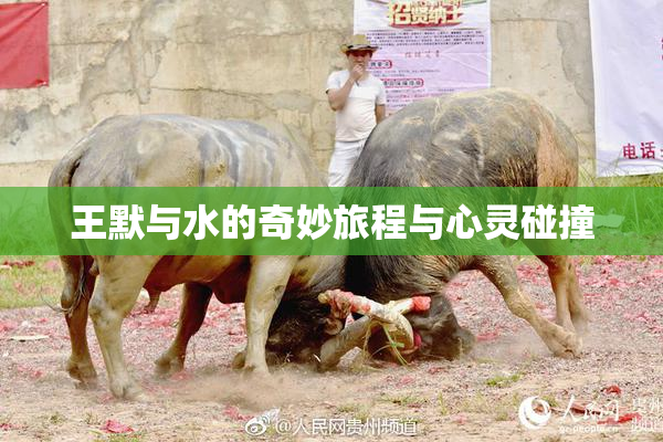 王默与水的奇妙旅程与心灵碰撞