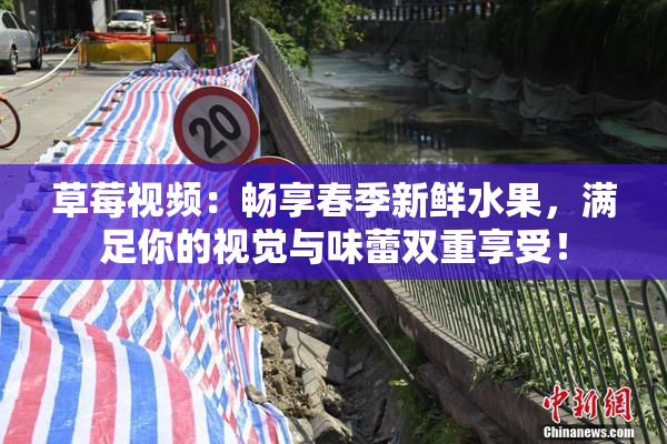 草莓视频：畅享春季新鲜水果，满足你的视觉与味蕾双重享受！