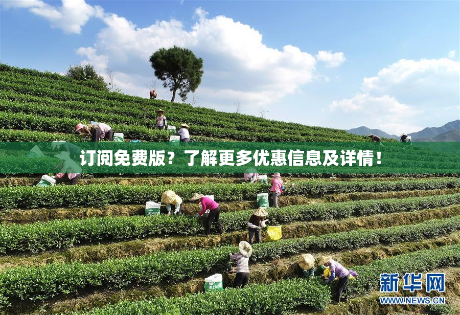 订阅免费版？了解更多优惠信息及详情！