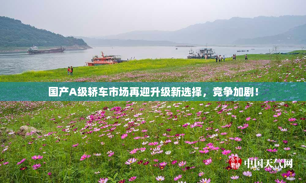 国产A级轿车市场再迎升级新选择，竞争加剧！